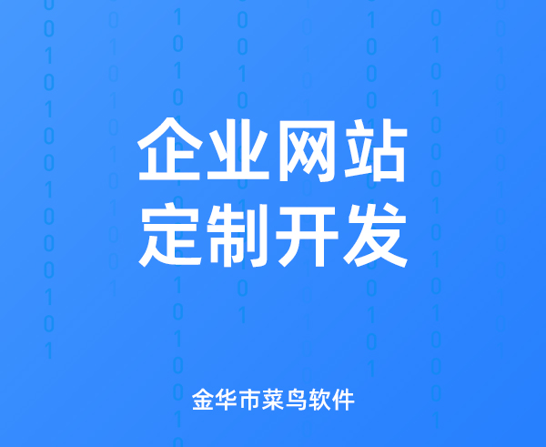 企业网站