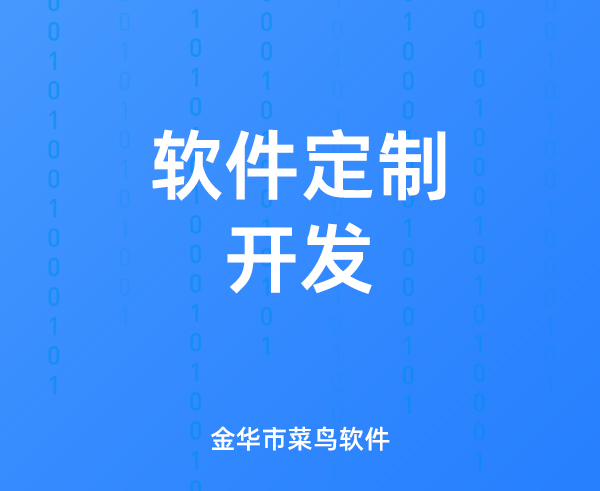 软件定制